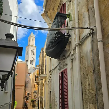 Pure Minimal Loft Old Town *